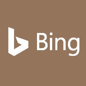 Bing搜索